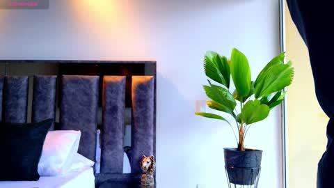 Santiago Seans online show from March 3, 1:07 pm