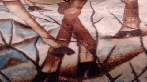 sara_johnson__ online show from June 4, 2:34 pm