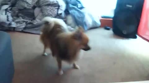 sashalove514 online show from October 5, 3:41 pm