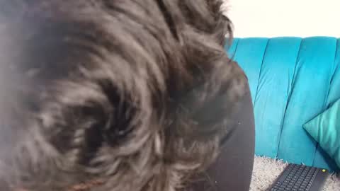 Saturningsweets online show from April 14, 2:20 pm