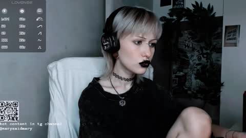 Snapshot of say_mary chatting on October 15, 12:47 am pronoun she. name Mary. age 21. online show from October 15, 12:47 am