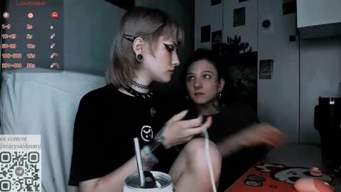 Snapshot of say_mary chatting on September 21, 12:25 am pronoun she. name Mary. age 21. online show from September 21, 12:25 am