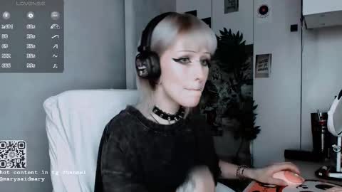 Snapshot of say_mary chatting on October 14, 12:13 am pronoun she. name Mary. age 21. online show from October 14, 12:13 am
