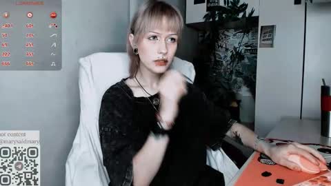 Snapshot of say_mary chatting on September 23, 12:37 am pronoun she. name Mary. age 21. online show from September 23, 12:37 am