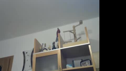 Mike online show from January 15, 7:34 pm