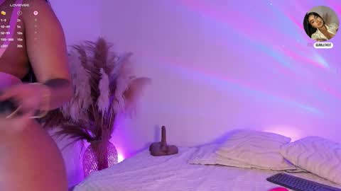 scarlet  online show from February 12, 11:25 am