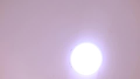 Damar online show from January 8, 6:25 pm