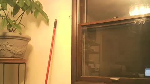 scottpbi52 online show from September 30, 2:11 am