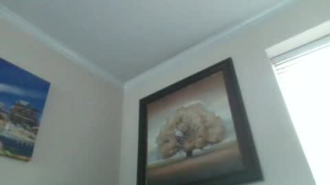 Scott online show from July 20, 7:48 pm