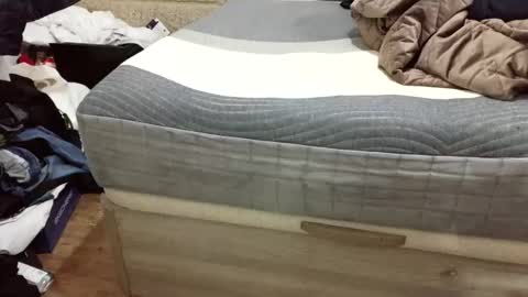 scubi007 online show from November 2, 10:10 pm