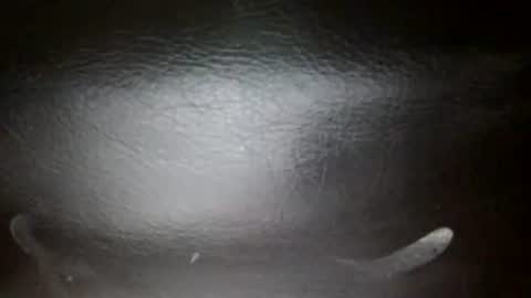 Sunny online show from November 11, 3:47 pm