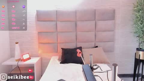 seikibee online show from February 21, 6:27 am