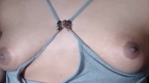 Selda online show from February 22, 8:29 am