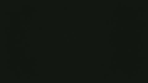 selfpound online show from December 15, 4:47 pm