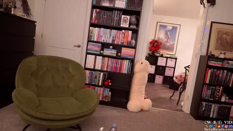 Snapshot of serareads chatting on January 6, 7:42 am SeraReads online show from January 6, 7:42 am