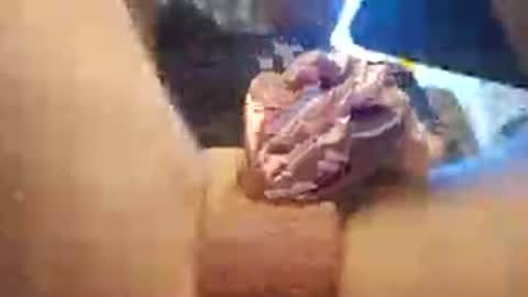 sergey_______ online show from June 17, 11:04 am