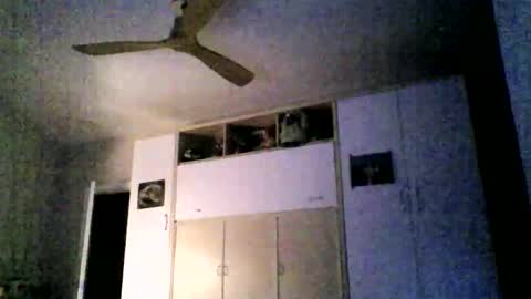 Snapshot of serrano49 chatting on October 22, 7:04 pm serrano49 online show from October 22, 7:04 pm