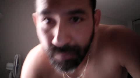 seuus2026 online show from August 2, 4:53 pm
