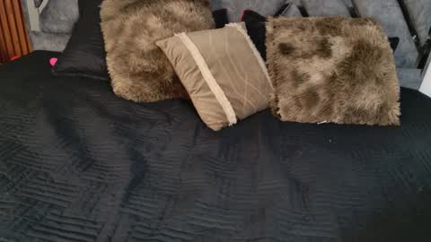 Dafne online show from April 6, 10:49 am