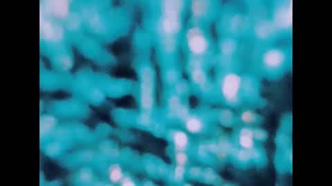 sexy_indian0009 online show from November 25, 11:03 pm