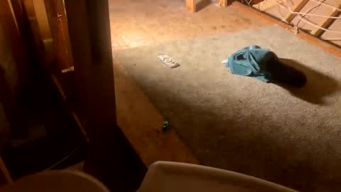 Smooth bi guy online show from February 12, 8:40 am