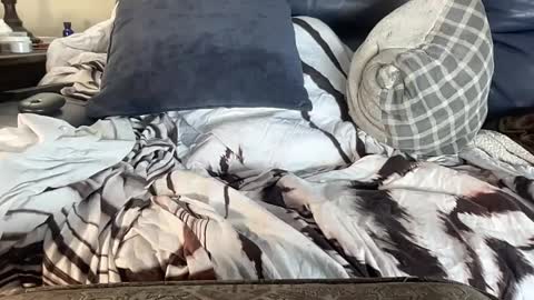 sf_bella online show from February 27, 4:24 am