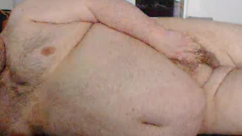 shanata1 online show from January 22, 9:02 am