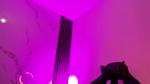 Shauna online show from April 8, 11:57 am