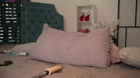 Snapshot of shiny_lily chatting on October 9, 5:29 pm Aurora Lexi Daniela Wendynew online show from October 9, 5:29 pm