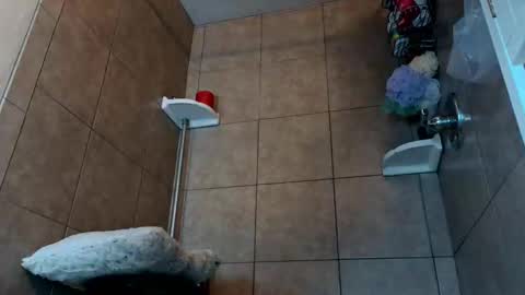 Aurora Wolfe  Shy College Girl  Top 16 of all OF Creators online show from September 28, 6:06 pm