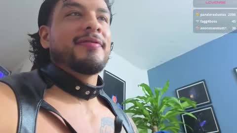 silvabranko online show from November 20, 1:26 am