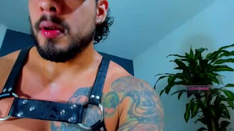 silvabranko online show from November 9, 1:09 am