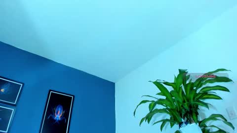 silvabranko online show from October 25, 11:05 pm