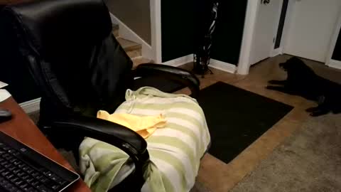 sissyexposed69 online show from July 1, 1:14 am