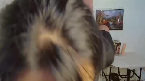 Sizka online show from February 1, 7:11 pm