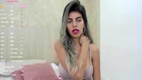 Snapshot of skinny_noa chatting on February 13, 5:54 pm Noa online show from February 13, 5:54 pm