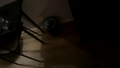 skinnyduderino online show from November 27, 8:33 am