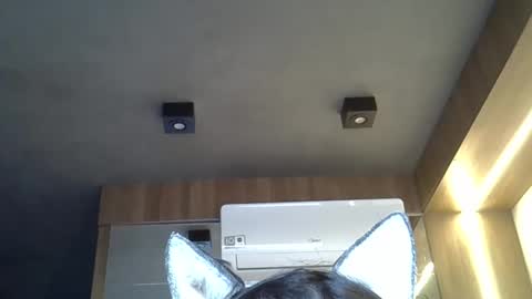 Snapshot of skinnykittencam chatting on September 30, 9:20 am skinnykittencam online show from September 30, 9:20 am