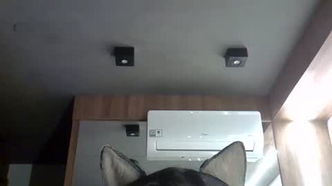 Snapshot of skinnykittencam chatting on September 29, 3:38 am skinnykittencam online show from September 29, 3:38 am