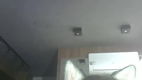 Snapshot of skinnykittencam chatting on October 18, 2:38 am skinnykittencam online show from October 18, 2:38 am