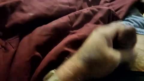 slitlicke69696969 online show from February 3, 7:18 pm