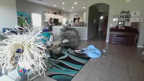 Daddy online show from September 19, 12:53 pm