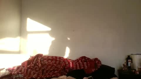 Bambi--Vodka online show from December 22, 9:09 pm