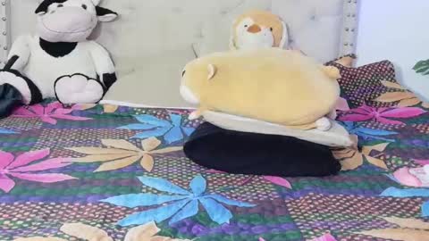 Hellen  online show from March 11, 9:07 pm