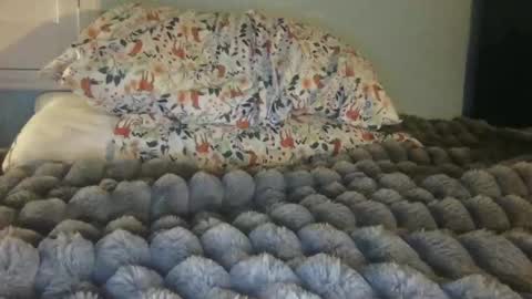 soccerstarnoww online show from January 24, 10:00 am