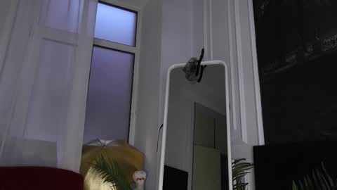 Sofia online show from November 12, 5:54 am