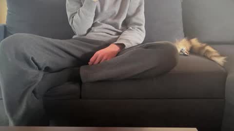 Sondages online show from March 9, 10:41 am