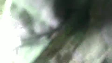 Snapshot of sophia_indian chatting on March 10, 8:28 am Sophia Tamil online show from March 10, 8:28 am