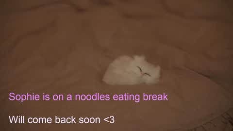 Sophie  Next stream  3 online show from February 6, 7:40 pm