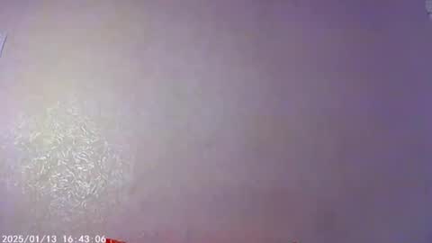 Sophie and my bestie Mandy    online show from January 12, 6:26 pm